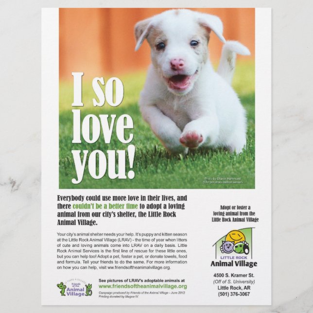 Adoption Poster - Little Rock Animal Village Flyer (Front)