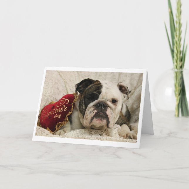 Adora-bull Valentine's Day Card (Front)