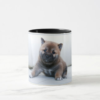 Adorable Akita puppy dog, coffee cup