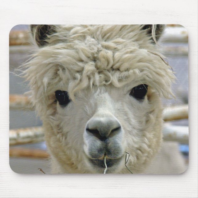Adorable Alpaca Mouse Mat (Front)