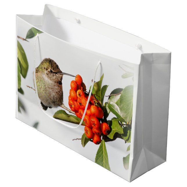 Adorable Anna's Hummingbird on Berry Bush Large Gift Bag (Front Angled)