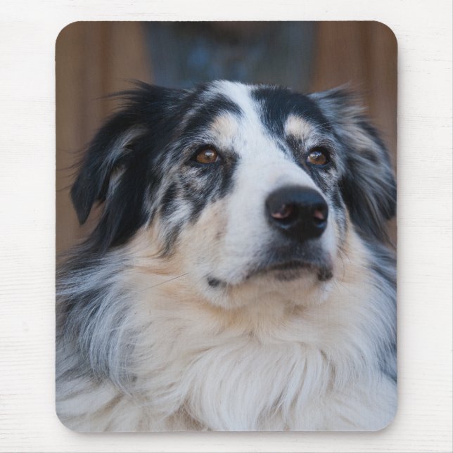 Adorable Australian Shepherd Mix Close-Up Photo Mouse Mat (Front)