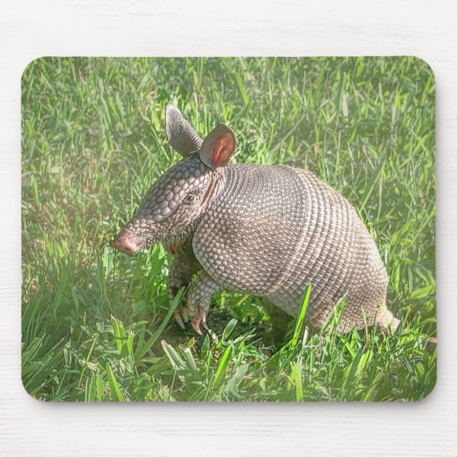 Adorable Baby Armadillo Mouse Mat (Front)