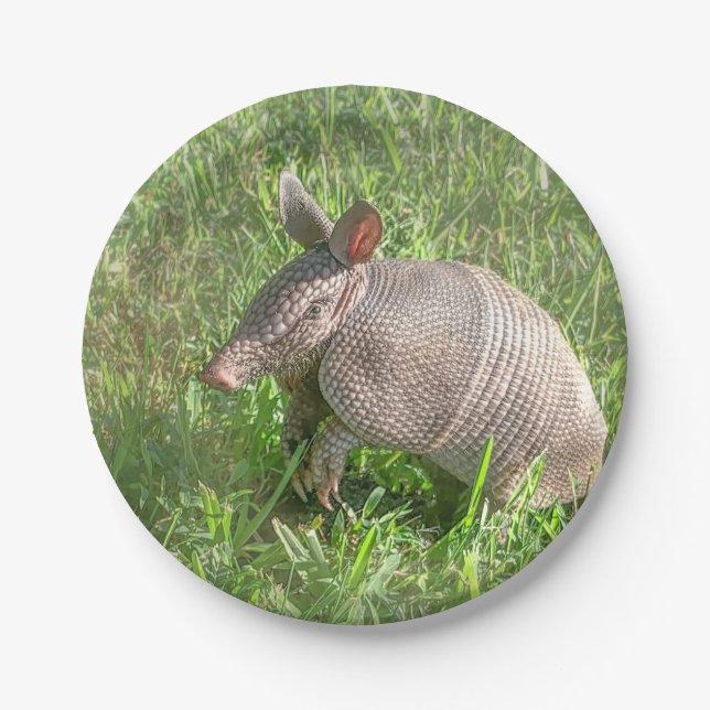 Adorable Baby Armadillo Paper Plate (Front)