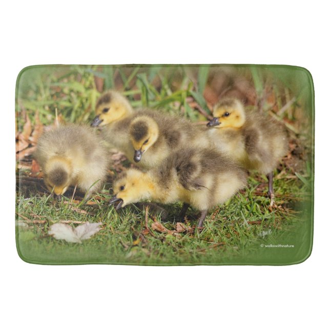 Adorable Baby Canada Geese on the Grass Bath Mat (Front)