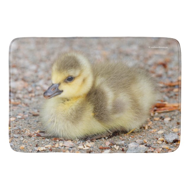 Adorable Baby Canada Goose on the Gravel Bath Mat (Front)