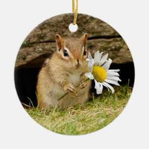 Adorable Baby Chipmunk with Daisy Ceramic Tree Decoration