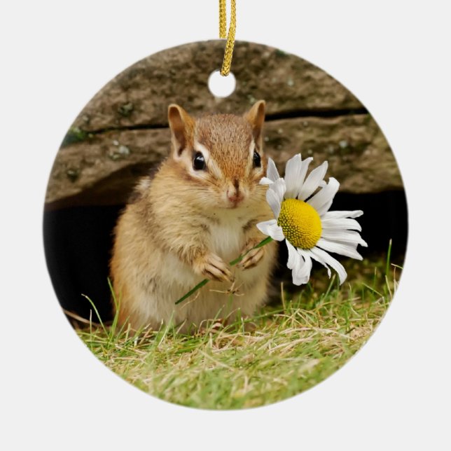 Adorable Baby Chipmunk with Daisy Ceramic Tree Decoration (Front)