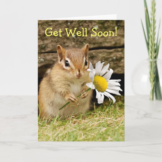 Adorable Baby Chipmunk with Daisy - Get Well Soon! Card (Front)