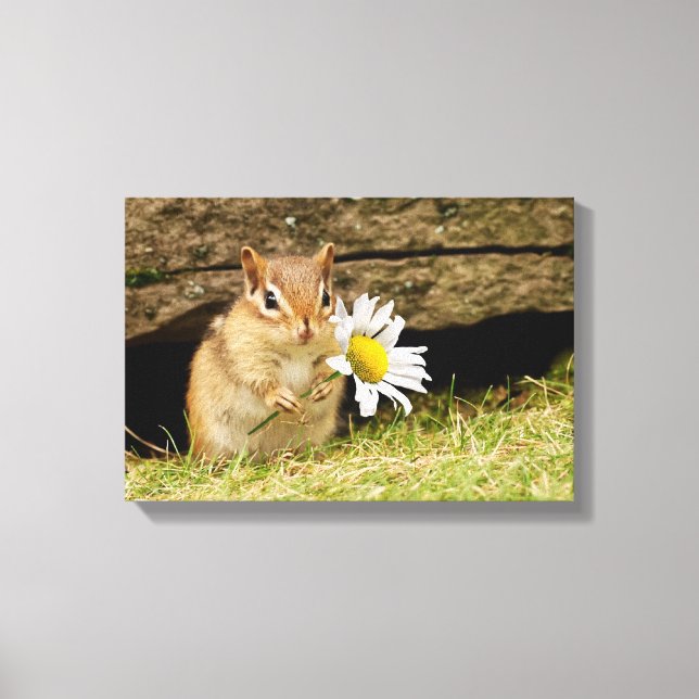 Adorable Baby Chipmunk with Daisy Wrapped Canvas (Front)