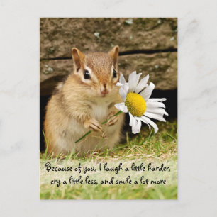 Adorable Baby Chipmunk with Friendship Quote Postcard