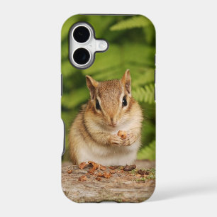 Adorable Baby Chipmunk with Snack