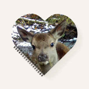 Adorable Baby Deer Woodland Fawn Writing Journal