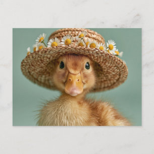 Adorable Baby Duck Wearing a Straw Hat Postcard