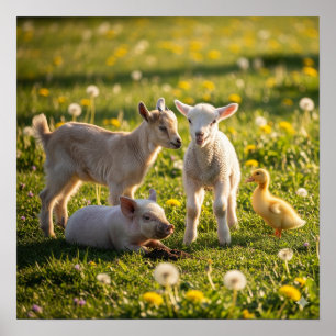 Adorable Baby Farm Animals Poster