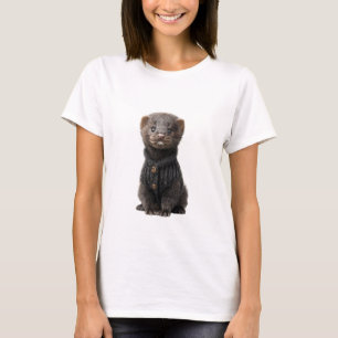 Adorable Baby Ferret in a Cosy Black Knitted T-Shirt