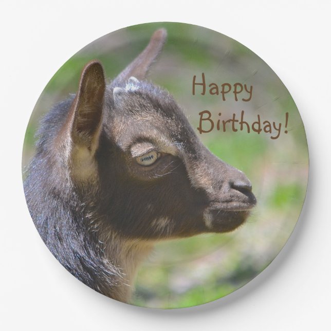 Adorable Baby Goat Birthday Paper Plate (Front)
