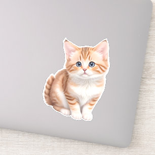 Adorable Baby Kitten Cute 