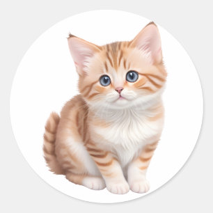 Adorable Baby Kitten Cute  Classic Round Sticker