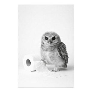 Adorable Baby Owl Holding Toilet Paper Minimalist Photo Print