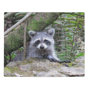 Adorable Baby Racoon Acrylic Puzzle
