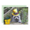 Adorable Baby Racoon Birthday Flat Card