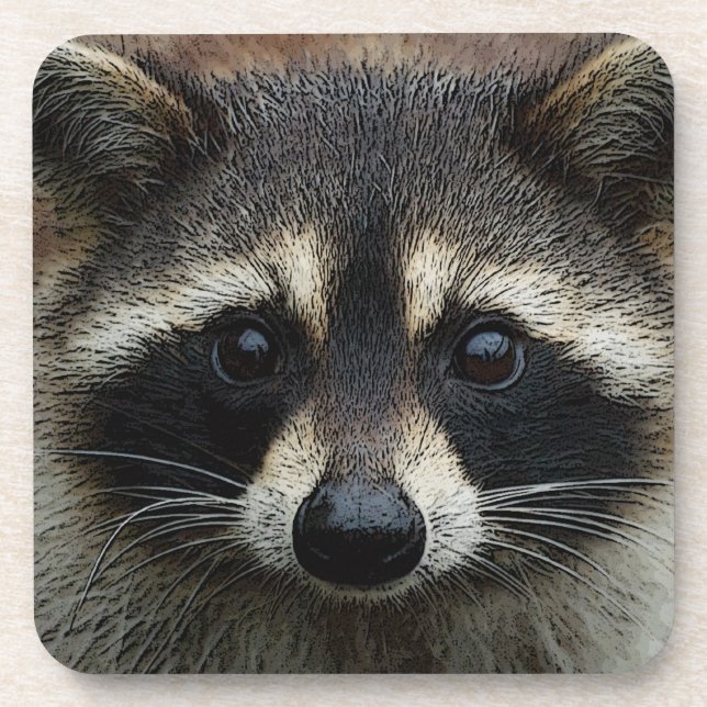 Adorable Baby Racoon Face Mask Stare Coaster (Front)