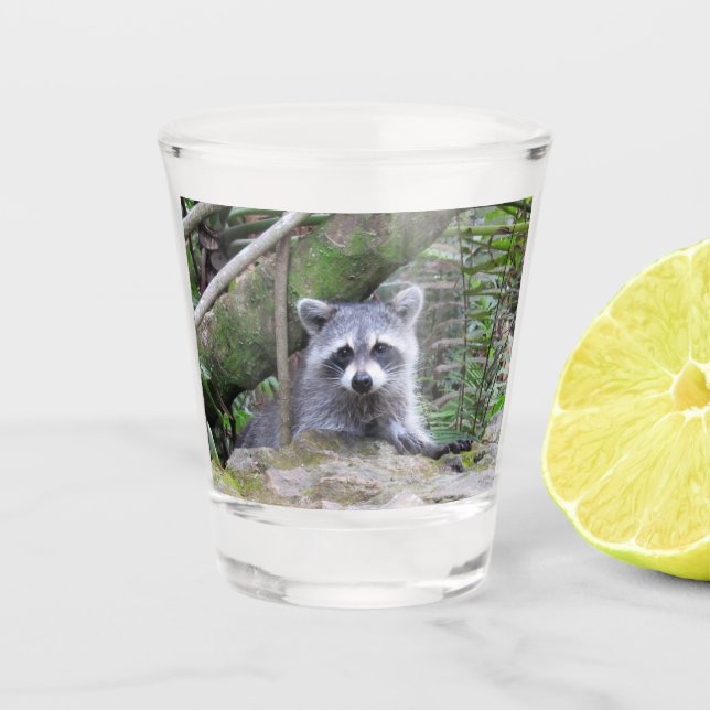 Adorable Baby Racoon Shot Glass (Front)