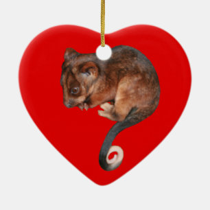 Adorable Baby Ringtail Possum in Australia Ceramic Tree Decoration