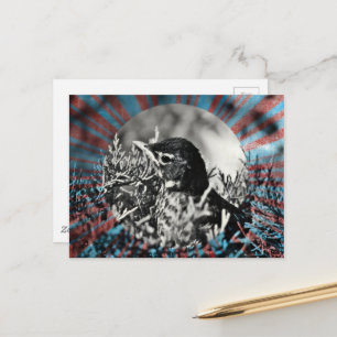 Adorable baby Robin bird in a shrub Postcard