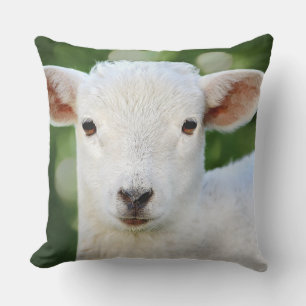 Adorable Baby Sheep Cushion