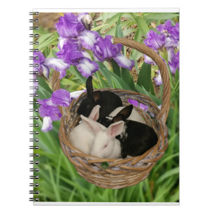 Adorable Basket of Baby Bunnies Notebook