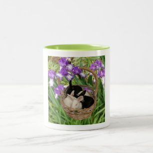 Adorable Basket of Baby Bunnies Two-Tone Coffee Mug