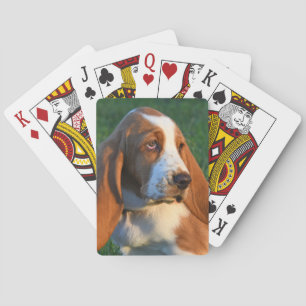Adorable Basset Hound Puppy Playing Cards
