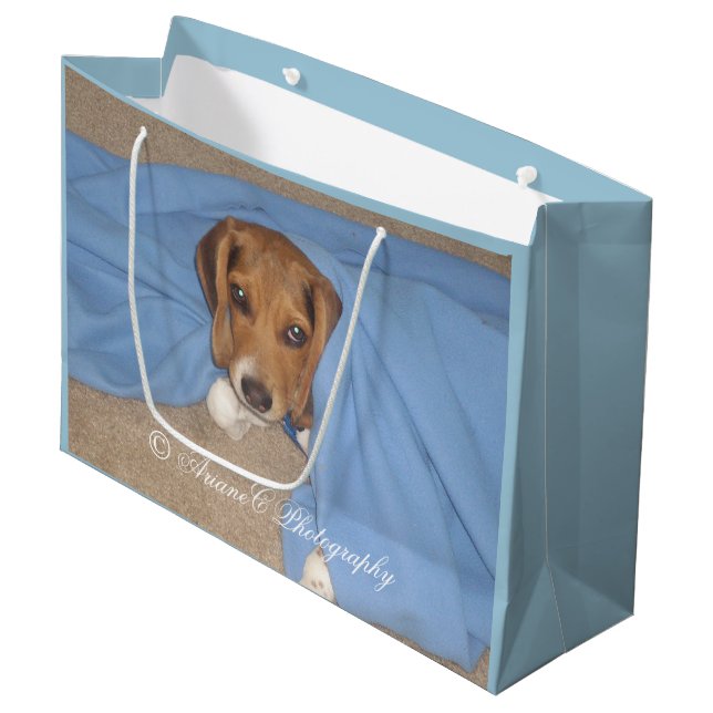 Adorable Beagle puppy large gift bag (Front Angled)
