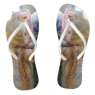 Adorable Bearded Dragon Photo Print Flip Flops