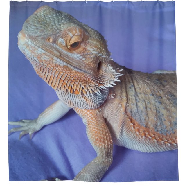 Adorable Bearded Dragon Up Close Picture Blue Shower Curtain (Front)