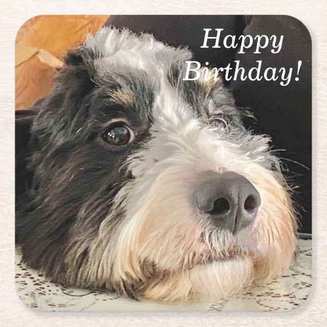 Adorable Bernedoodle Square Paper Coaster (Front)