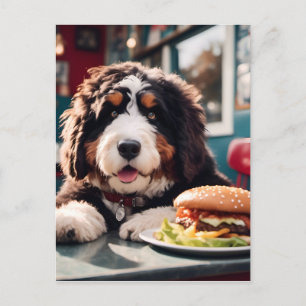 Adorable Bernerdoodle at the Diner Postcard