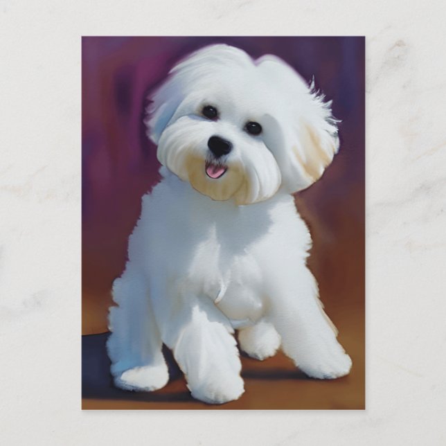 Adorable Bichon Havanese Puppy Watercolor   Postcard (Front)
