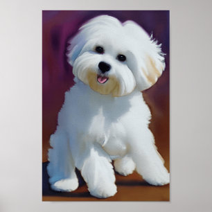 Adorable Bichon Havanese Puppy Watercolor  Poster