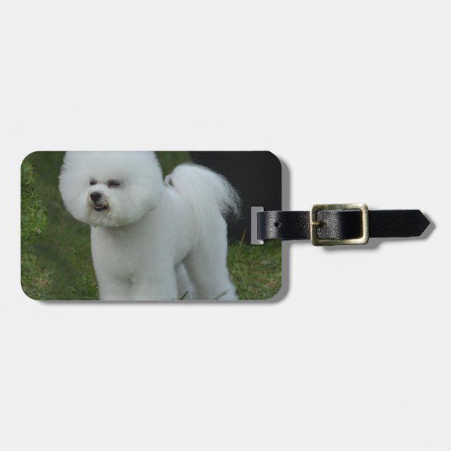 Adorable Bichon Luggage Tag (Front Horizontal)