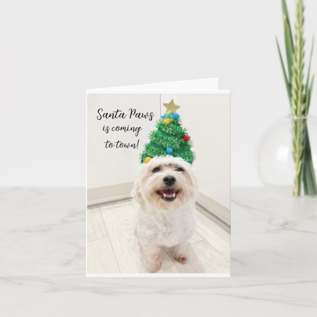 Adorable Bichon Maltese Christmas card Santa Paws (Front)
