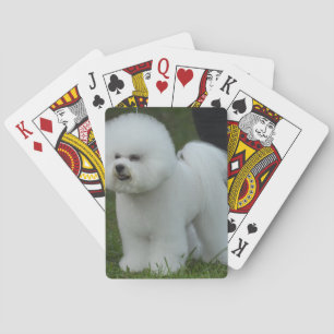 Adorable Bichon Playing Cards