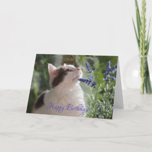 Adorable Birthday Kitten in the Garden! Card