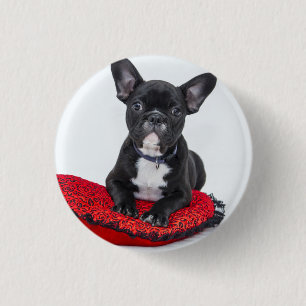 Adorable Black and White Bulldog Puppy Photo 3 Cm Round Badge