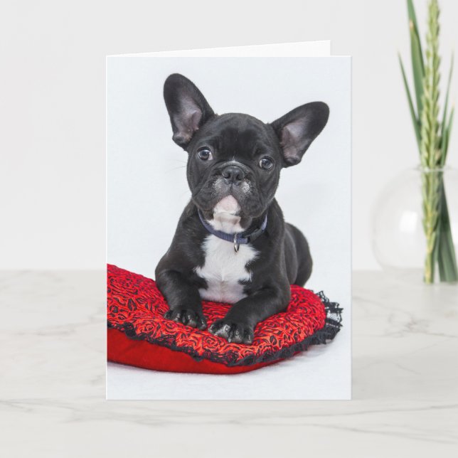 Adorable Black and White Bulldog Puppy Photo Card (Front)