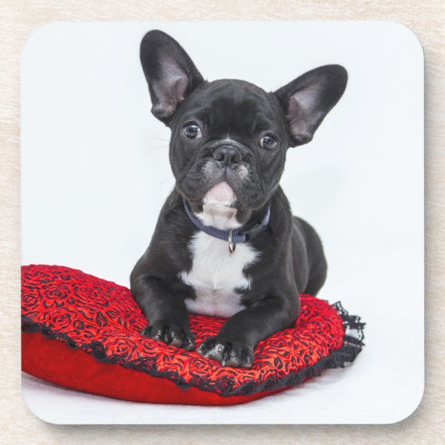 Adorable Black and White Bulldog Puppy Photo Coaster (Front)