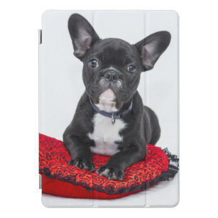 Adorable Black and White Bulldog Puppy Photo iPad Pro Cover
