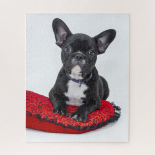 Adorable Black and White Bulldog Puppy Photo Jigsaw Puzzle